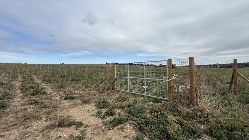 Lot: 30 - LAND EXTENDING TO 15 ACRES - Metal gated access